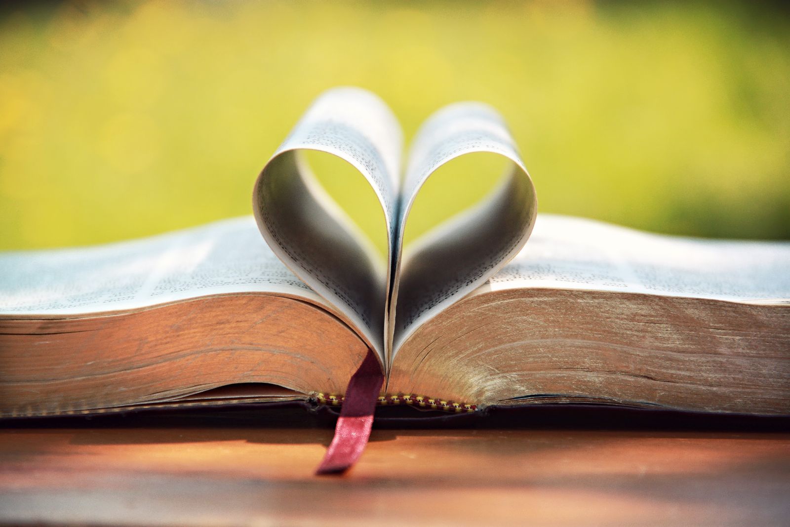 February 2026 Newsletter